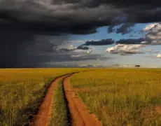 Descubre la fascinante historia del Museo de Kakamega en Kenia: una joya cultural africana