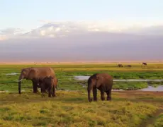 Descubre la fascinante historia de Karatina en el Museo de Historia de Kenia: Un viaje inolvidable