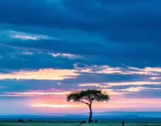 Descubre la majestuosidad del Palacio de Wazaramo Taita en Kenia: un tesoro escondido en África