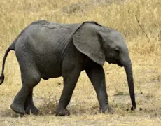 Descubre los secretos del turismo en Baringo: el destino perfecto para una aventura inolvidable