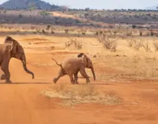 Descubre los secretos del turismo en Eldoret: la joya oculta de Kenia