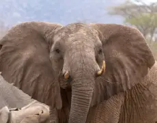 Descubre los encantos del turismo en Embu: ¡Un destino imperdible en Brasil!