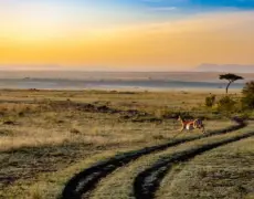 Descubre los secretos del turismo en Homa Bay: una joya oculta en Kenia