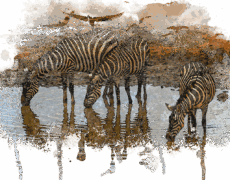 Descubre los secretos del turismo en Isiolo: la joya oculta de Kenia