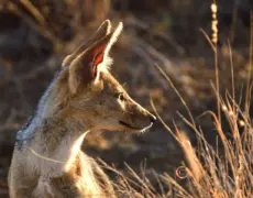 Descubre las maravillas del turismo en Kakamega: un destino único en África