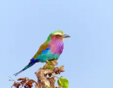 Descubre los encantos del turismo en Kapenguria: Una joya escondida de Kenia