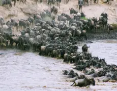 Descubre los secretos del turismo en Kericho: una joya escondida de Kenia