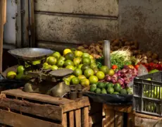 Descubre los encantos del turismo en Kitale: Un destino inolvidable para los amantes de la naturaleza