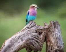 Descubre la maravillosa experiencia de turismo en Kitui: ¡Un destino imperdible!