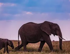 Descubre los mejores secretos del turismo en Lodwar: la joya escondida de Kenia