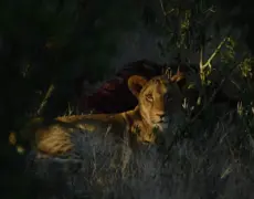 Descubre las maravillas de Makueni: La guía definitiva de turismo en este destino único