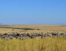 Descubre la magia del turismo en Nanyuki: Un destino único en Kenia
