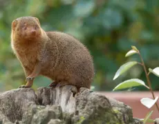 Descubre las maravillas de Nkubu: El destino ideal para tu próximo viaje de turismo