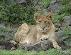 Descubre los secretos del turismo en Taveta: ¡Un destino imperdible en África!