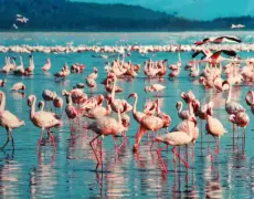 Descubre los secretos del turismo en Webuye: un destino único y fascinante